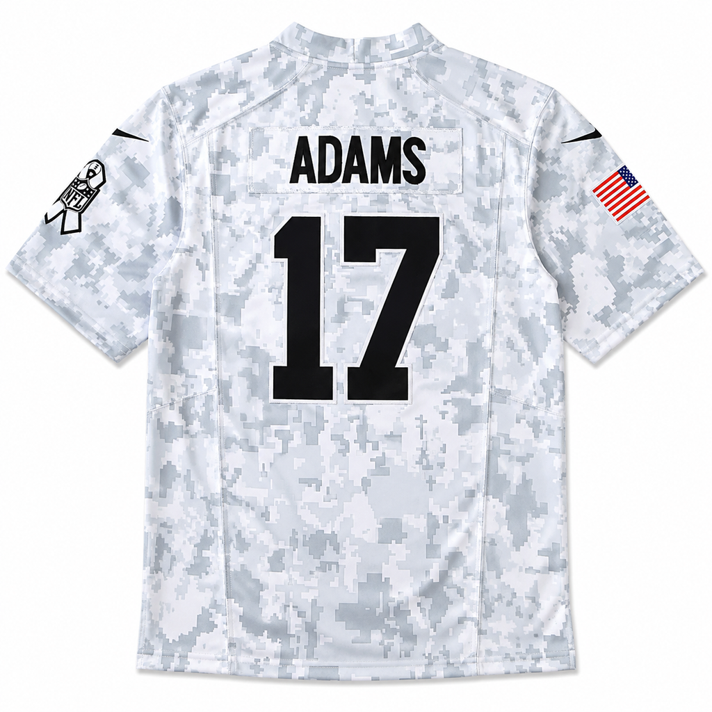 Las Vegas Raiders 2024 Salute to Service
