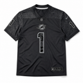 Miami Dolphins RFLCTV Limited