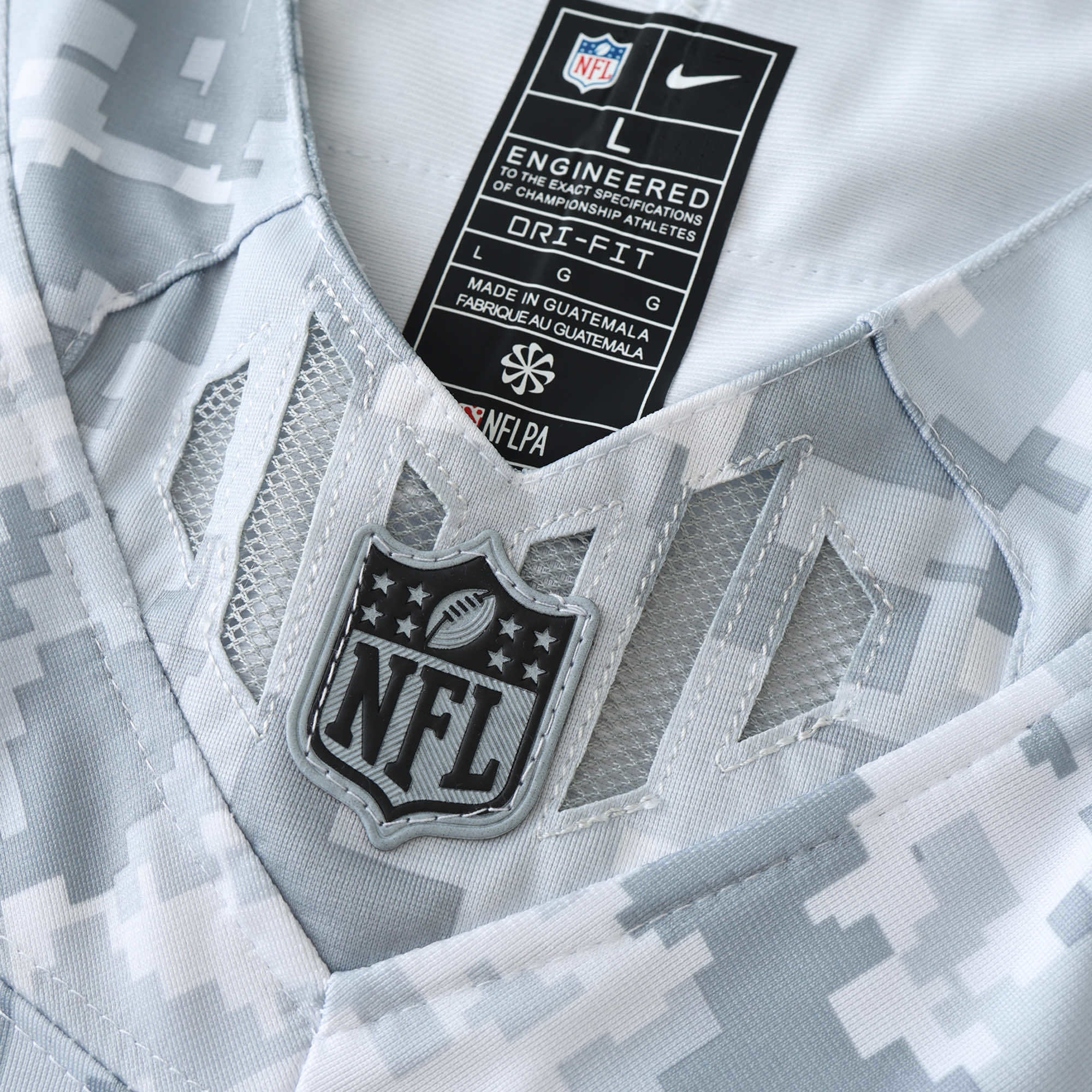 Las Vegas Raiders 2024 Salute to Service